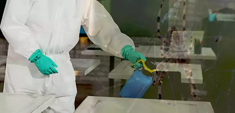 Why Buyers Still Want Homes With Pest Infestations in Arlington, TX?
